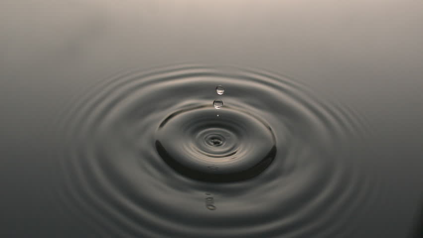 Many Water Drops  | Shutterstock HD Video #24584558