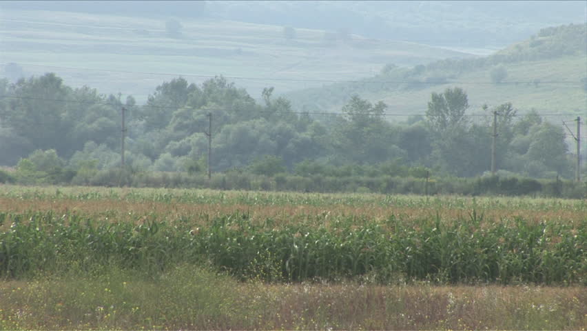 A train passing through the countryside of Sighisoara Romania
