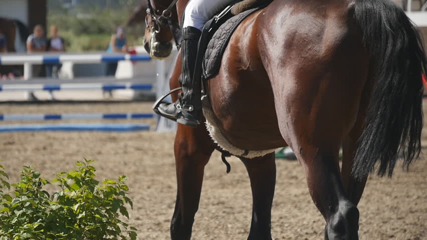 Rear view of brown horse is galloping near a barrier in competition. Back view of jockey rides on horseback. Slow motion Close up