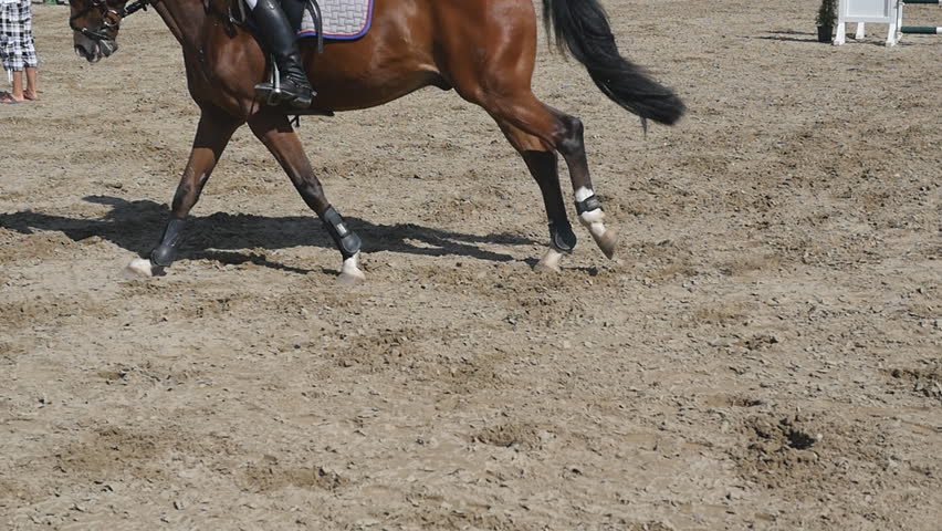 Foot of Horse Running On Stock Footage Video (100% Royalty-free ...