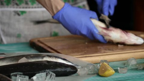 The woman is cleaning sea bass. Closeup