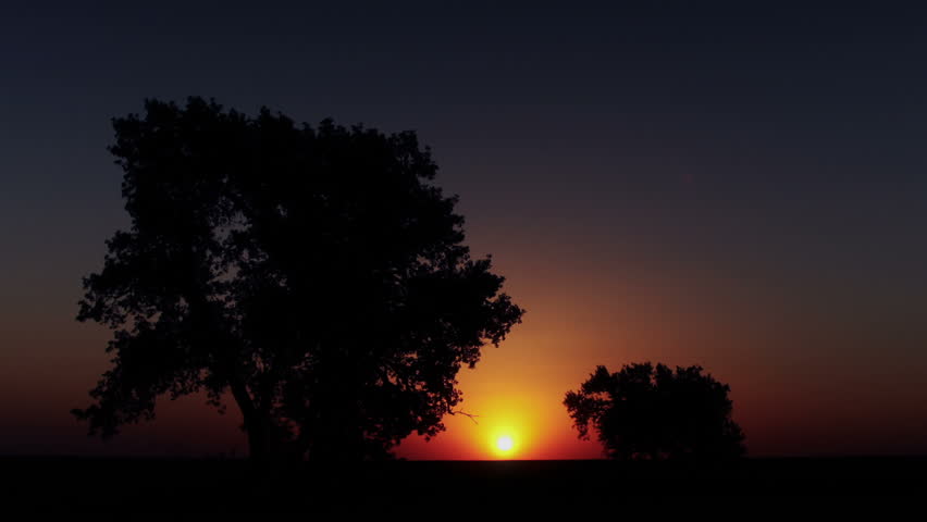 Stunning sunrise behind trees. HD 1080p time lapse.