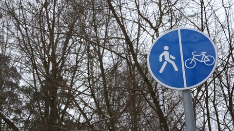 Road Sign In Winter Forest