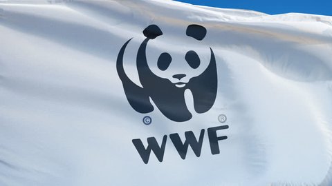 8 Wwf Logo Stock Video Footage - 4K and HD Video Clips | Shutterstock