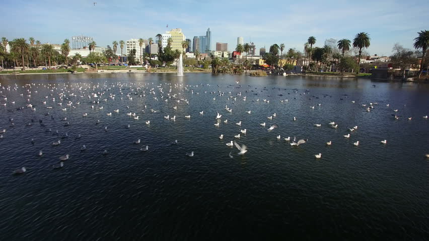 Los Angeles Downtown Cityscape Aerial 14 Buildings and Park