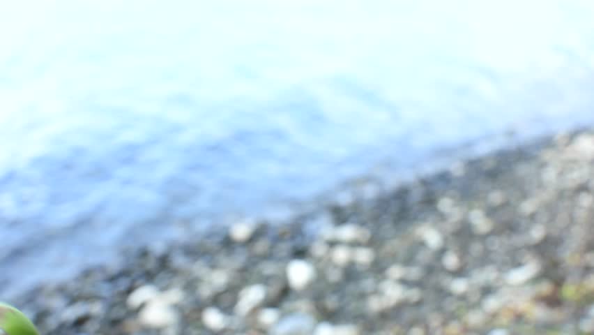 Closeup man