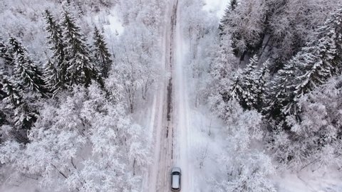 Silver car driving on winter country road in snowy forest, aerial view from drone