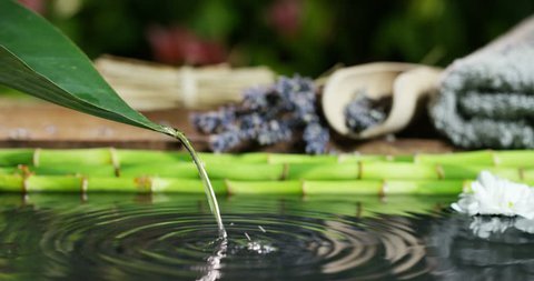At a spa or health club, dropping a pure water drop from a leaf. background lavender scented environment. Concept: relaxation, wellness, body care, spa, nature, and aromatherapy and scents	
