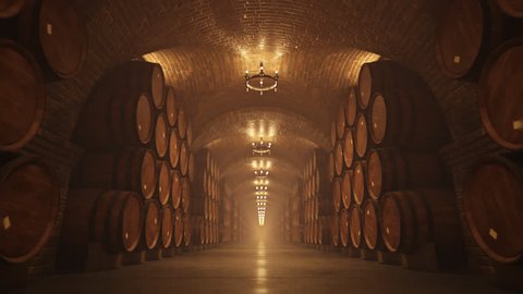02644 Symmetry Of Oak Barrel In Wine Cellar With Lights