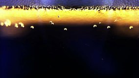 Macro clip of liquid, bubbles and froth. Abstract video that could be used as effect, transition or background and even as a conceptual video.
