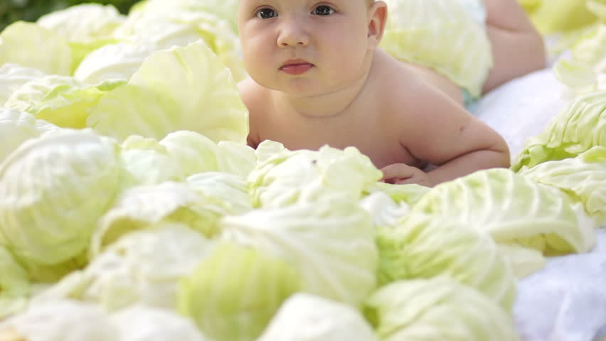 Baby boy lying in the cabbage
