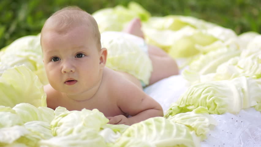 Newborn lying in the cabbage and looking at camera

