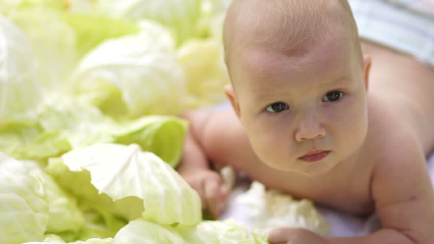 Closeup portrait newborn baby boy in cabbage
