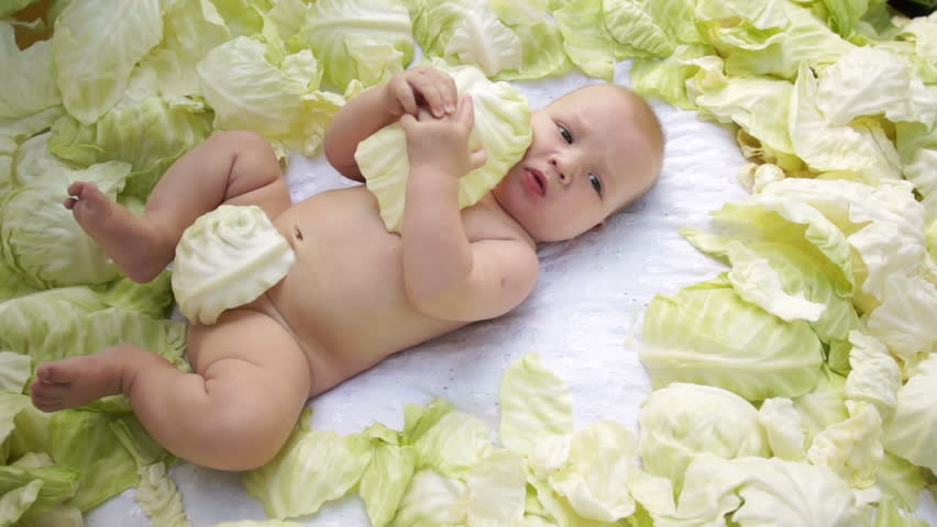 Newborn baby boy in cabbage
