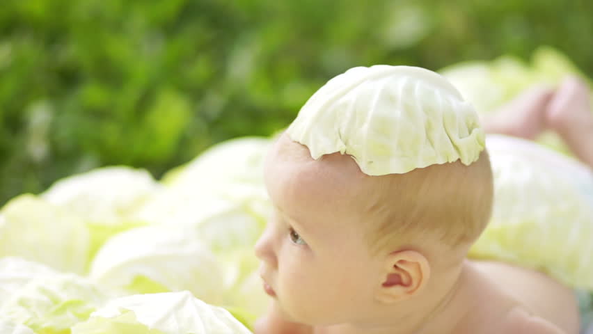 Closeup portrait newborn lying in the cabbage.
