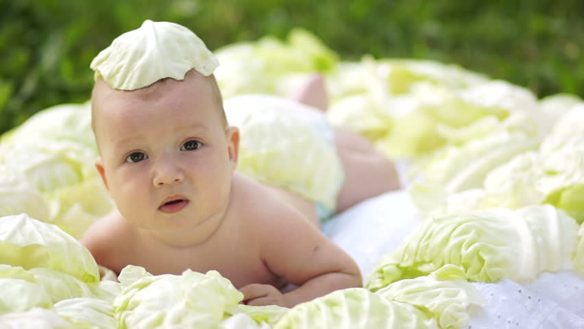 Baby boy in cabbage
