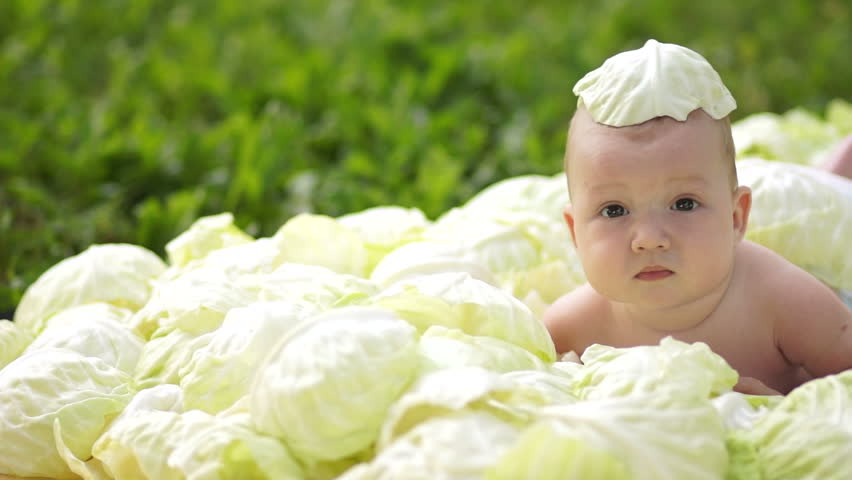Newborn in cabbage

