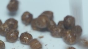 chocolate cereal balls in white bowl for breakfast, close-up video in motion, slow motion