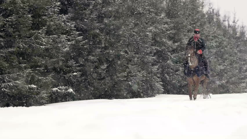 Men horseback riding a big brown horse in beautiful snowy winter landscape. Male rider cantering with large elegant stallion along the snowy path through the ranch fields in white winter .