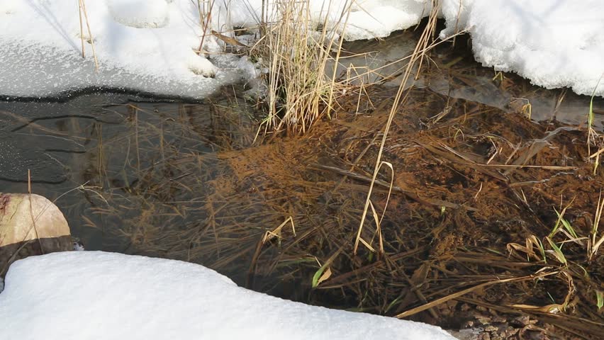 Stream of pure water flowing through the snow blocks. Spring melting of ice and awakening of nature. Clear water in the wilderness.