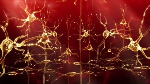 Neuronal Activity Zoom Red
Conceptual animation showing neuronal activity in the human brain.