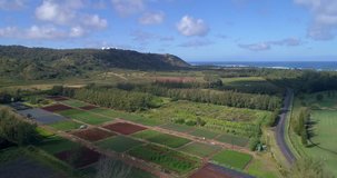 Aerial footage Hawaii Agriculture landscape 4k 60p