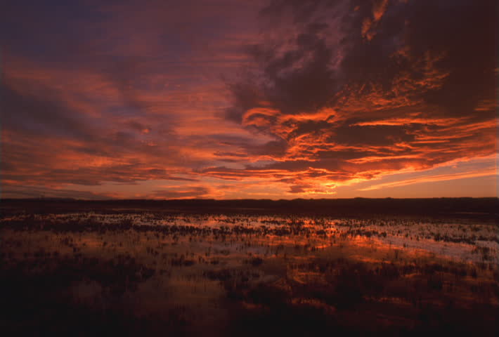 Time-lapse clouds over a marsh at sunset