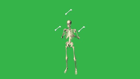 Skeleton Juggling Bones:  Looping + Matte