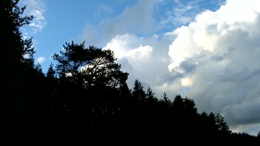 Time lapse clip of white fluffy clouds over blue sky (in a forest)