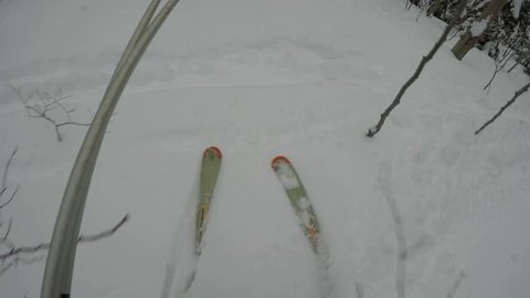 Glades Woods Skiing in Snowy Powder, Head Camera Facing Skis | Sugarbush Ski Resort, Vermont USA | GoPro Hero 5
