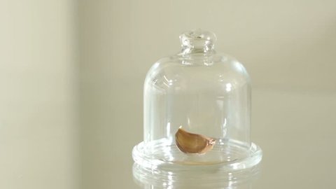 The hand in latex glove is taking out the clove of garlic from glass cloche
