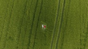Two woman with blonde hair in a red and blue dress are lying among fields of wheat. 4k video shot at sunset in early autumn. Aerial view video from copter. Top view. 