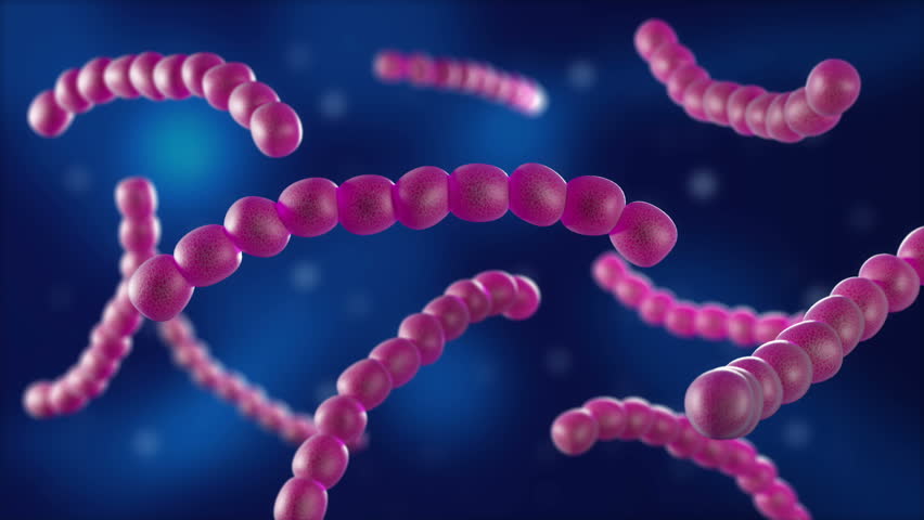 Collagen, virus, bacteria, cell animation Royalty-Free Stock Footage #24743108