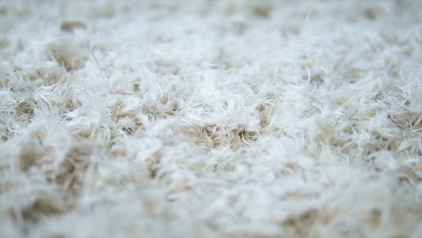 Много белого выделено. Soft Feather.
