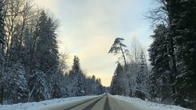 Front view from car mounted camera when vehicle driving winter snowy forest road. Video 4k.