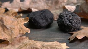 hand takes a tuber black truffle from dark wooden surface with oak leaves