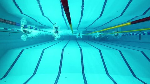 swimming pool and swimmer during the training