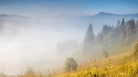 Morning fog covers the green hills with trees that glowing in sunlight. Dramatic and gorgeous day scene. Location Carpathian, Ukraine, Europe. Beauty world. Time lapse clip, interval shooting video.