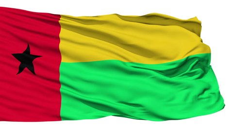Selangor Flag City Malaysia Realistic Animation Stock Footage Video 100 Royalty Free 1009619168 Shutterstock