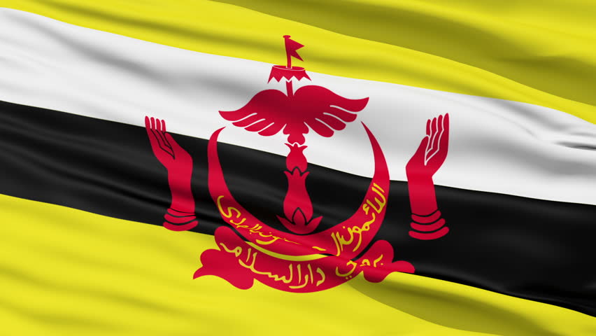 Closeup cropped view of a fluttering national flag of Brunei