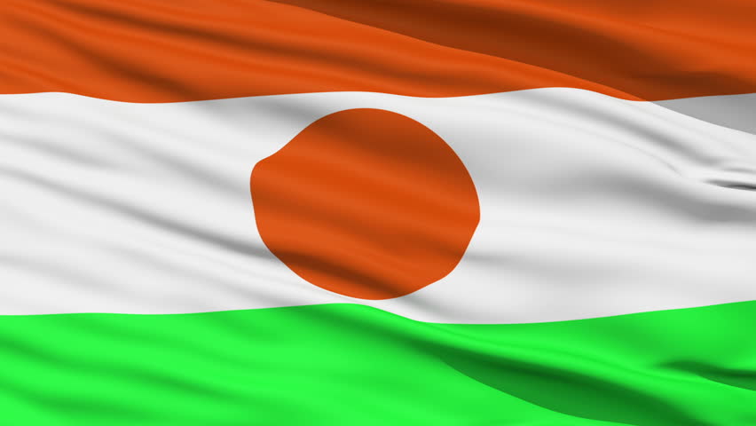 Closeup cropped view of a fluttering national flag of Niger