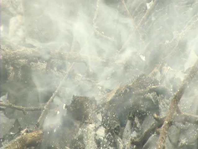 SMOKE FROM A FADING FIRE