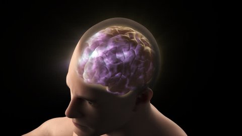 human man transparent head skull shows brain cerebral neural activity electrical signal transmission waves in purple glow light black background top view male 3D anatomical model visualization