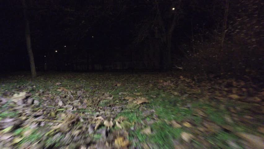 Fast movement of camera along autumn foliage in park at night to bench