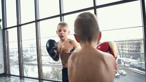 Two Little Boys Boxing Stock Footage Video (100% Royalty-free) 24807176 ...