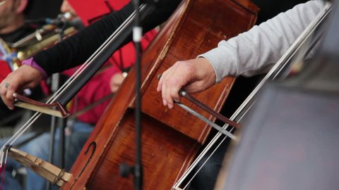 Musician playing on a contrabass