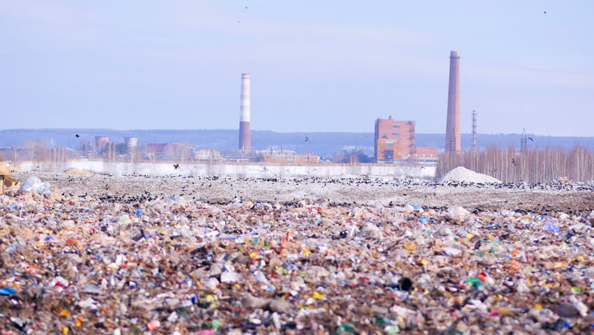 Landfill site with piles of garbage, flock of scavenging birds on background. | Shutterstock HD Video #24819626