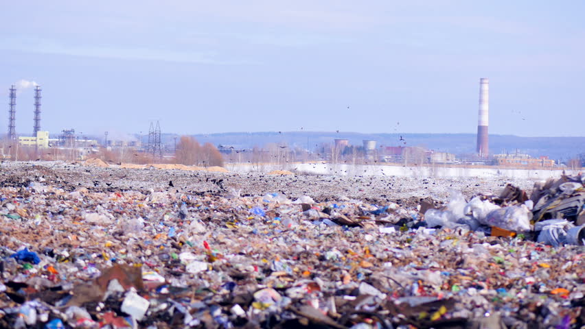 A flock of birds takes off a city dump, landill. Industrial plant on a background. | Shutterstock HD Video #24819695