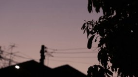 Silhouette house and tree twilight sky