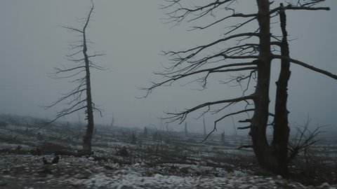 4K Pov moving shot of barren land,burned out forest in mist and fog.Pov gimbal stabilized view of a ravaged and scorched forest landscape in heavy fog and mist.Dark overcast weather,gimbal/dolly shot.